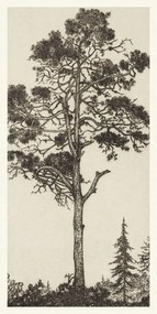 Kunstreproductie The Little Pitch Pine, Ernest Haskel