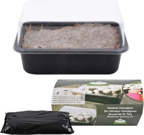 Esschert Design kweekset Champignon