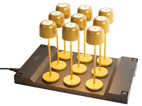 Buitenlamp met dimmer LED Set van 9 tafellamp met dimmeren mushroom goud incl. laadstation - Raika Modern IP65 Buitenverlichting Lamp