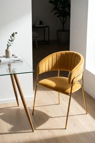 Moniel Foud Fluwelen Stoel