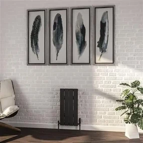 Eastbrook Addington type 10 radiator 30x60cm 281W staal antraciet