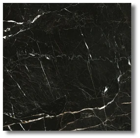 Gepolijste Vloertegel 120x120 Cm Marmerlook Lahomi Nero Zwart Nav35