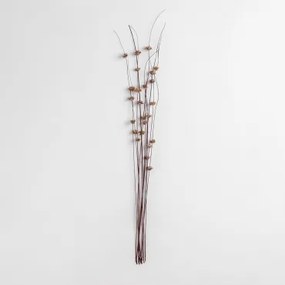 Pack Van 10 Decoratieve Gedroogde Takken Zinia Bruin - Sklum
