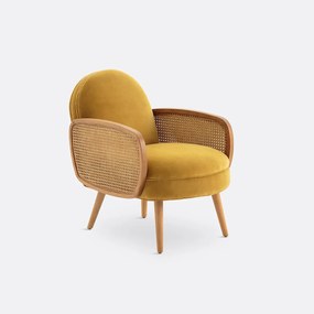 Fauteuil fluweel, Buisseau