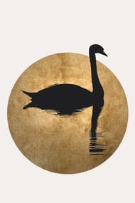 Ilustratie The Swan, Kubistika