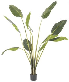 By-Boo Strelitzia Strelitzia Kunstplant Medium 180 Cm