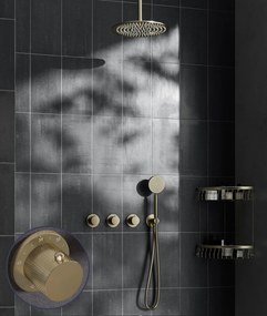 Saniclear Plus Curved inbouw regendouche met 20cm hoofddouche en plafondarm geborsteld messing - mat goud