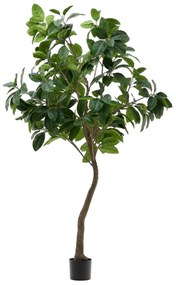 Kave Home Ficus Grote Ficus Kunstboom 210 Cm