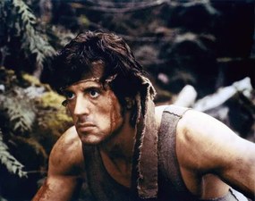 Foto Sylvester Stallone