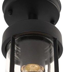 Landelijke buitenplafondlamp zwart met glas IP44 - Elza