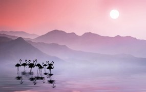 Kunstfotografie Flamingos Sunset, Bess Hamiti, (40 x 24.6 cm)