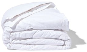 HEMA 4 Seizoenen Dekbed Dons - 140x200 (wit)