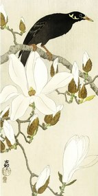 Kunstdruk Myna On Magnolia Branch, Ohara Koson