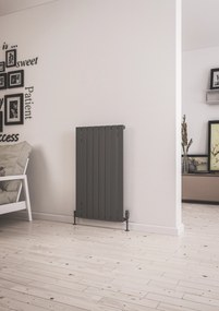 Eastbrook Addington type 10 radiator 100 x 58,8cm 898 watt antraciet