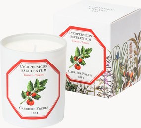 Geurkaars Tomato (groen, fris, pittig)