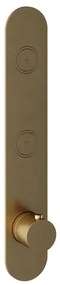 Hotbath Cobber afbouwdeel inbouwthermostaat met 2 pushbuttons verticale plaatsing geborsteld messing (goud) PB066EXTBB