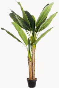 Kunstplanten Banano, 2-delig