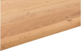 Goossens Eettafel Blade, Strak blad 180 x 90 cm 6 cm dik