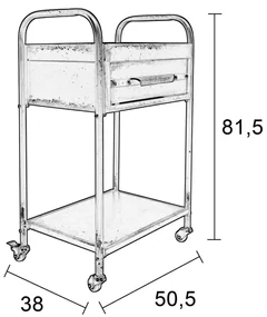Trolley In Verweerde Look - 50.5 X 38cm.