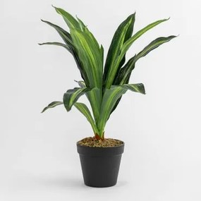 Decoratieve Kunstplant ↑40 Cm Dracaena ↑40 Cm - Sklum