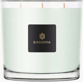 XXL kaars in een doos (primula & amberhout)