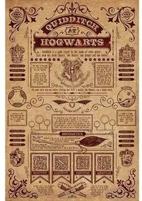 Posters Rood Harry Potter  TA6062