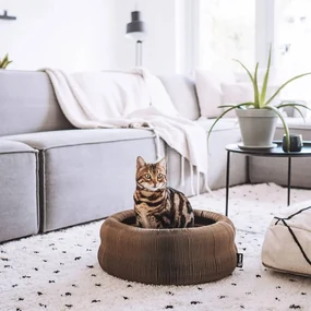 DISTRICT70 Kattenmand Maze opvouwbaar 3-in-1 karton