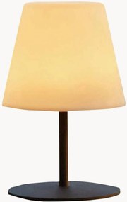 In- & outdoor LED-tafellamp Twins met accu