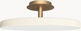 Dimbare LED plafondlamp Asteria, in verschillende formaten