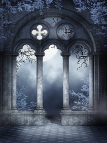 Ilustratie Cloister ruins with vines, FairytaleDesign