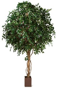 Ficus Exotica kunstplant - 315 cm