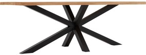 Goossens Eettafel Blade, Boomstamblad 220 x 100 cm 5 cm dik