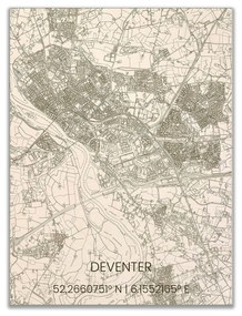 Wanddecoratie Deventer | Brandthout