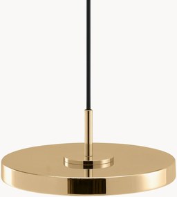 Kleine LED hanglamp Asteria Micro