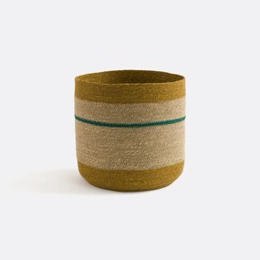 Multicolor mand in herbarium, Saski