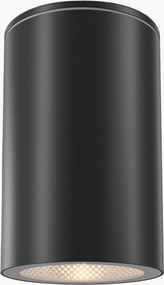 Outdoor plafondspot Roll
