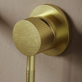 Saniclear Brass Stripes inbouw wastafelkraan geborsteld messing - mat goud