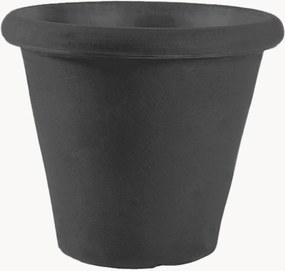 Plantenpot Camelia