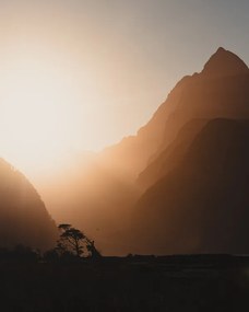 Foto Rage, Zoltan Regius Polgar