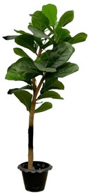 Kunst Ficus Lyrata op stam - 150cm