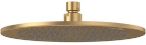 Villeroy & Boch Universal Showers hoofddouche - 25cm - Rond - Brushed Gold (goud) TVC00000100076