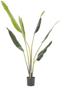 By-Boo Strelitzia Strelitzia Kunstplant Small 122 Cm