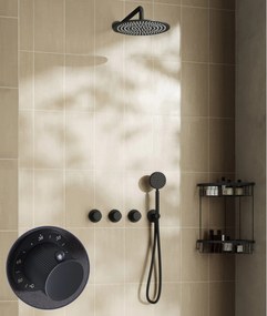 Saniclear Plus Stripes inbouw regendouche met 20cm hoofddouche en muurarm zwart mat