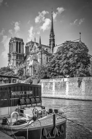 Foto PARIS Cathedral Notre-Dame | monochrome, Melanie Viola, (26.7 x 40 cm)