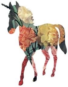Ilustratie Horse, CSA Images