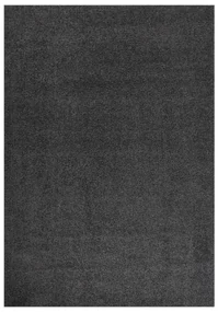 vidaXL Vloerkleed shaggy hoogpolig 140x200 cm antracietkleurig