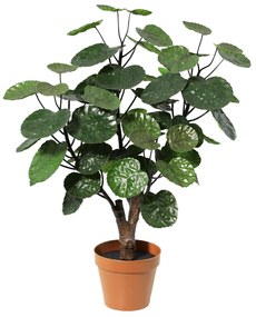 Kunst Polysicas Fabian - 55cm