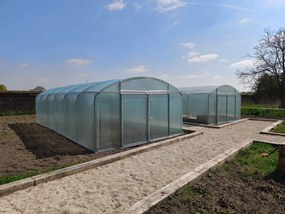 Filclair Elegant tunnelserre - 4,20 x 9,00m -37,8m²