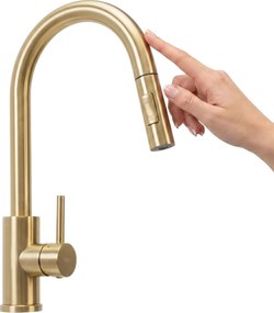 Keukenkraan Rea Fresh Touch Brush Gold