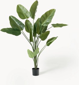 Kunstplant Traveller Palm